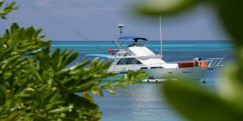 seychelles-booking-Denis-Private-Island-view3  (© Seychellen Buchen)