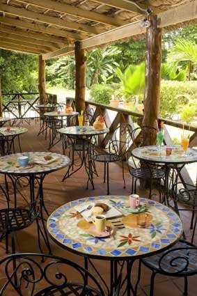 seychelles-laurier-guesthouse-restaurant-terrasse  (© Vision Voyages TN / Les Lauriers Hotel et Restaurant)