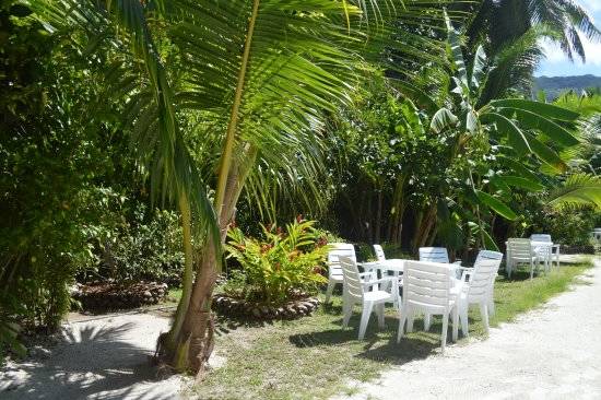 seychelles-villa-veuve-garden-1  (© Seychellen Buchen)